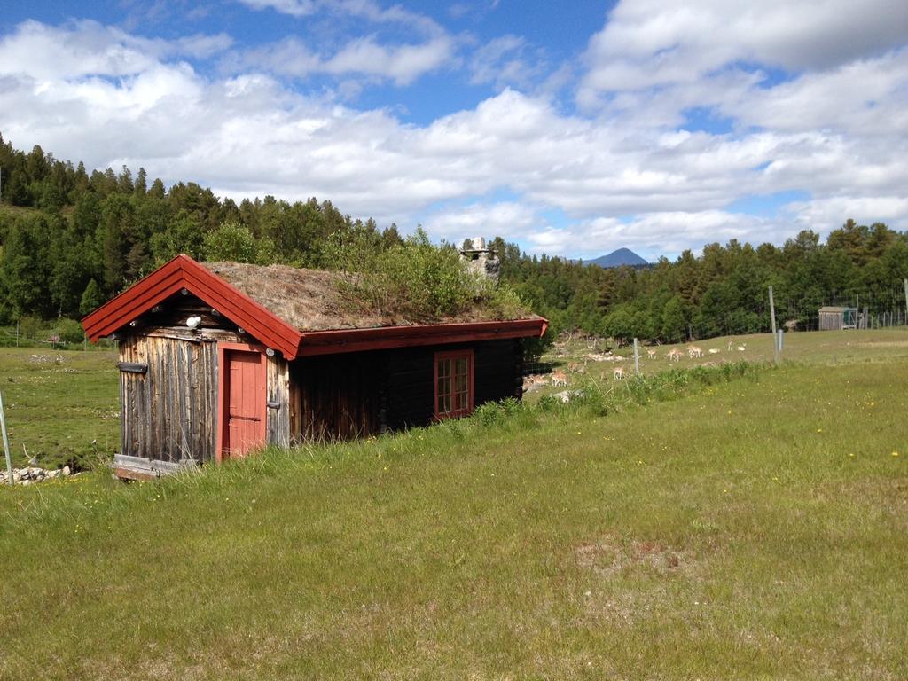 Rondane Friluftssenter Rondetunet Brenn Cameră foto